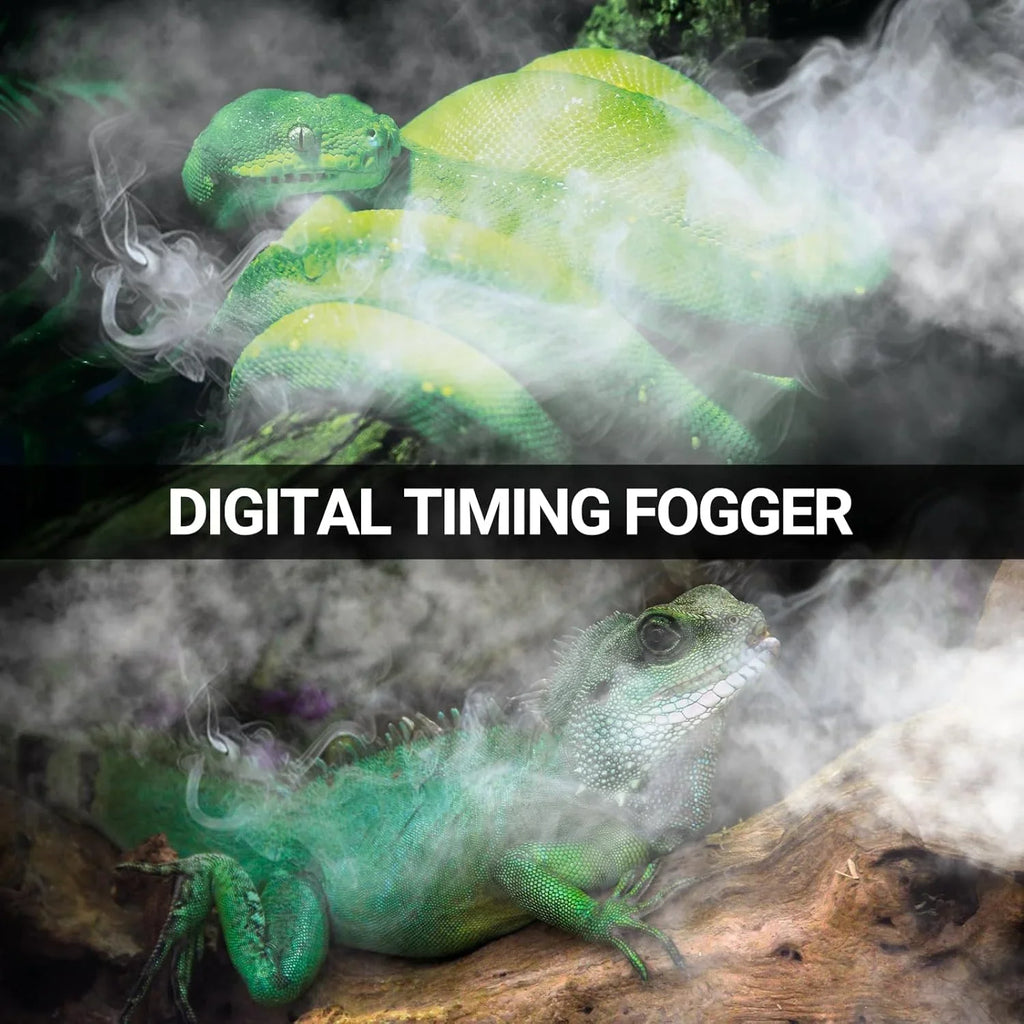 Green reptiles in terrarium with mist, demonstrating digital timing fogger for reptile habitat
