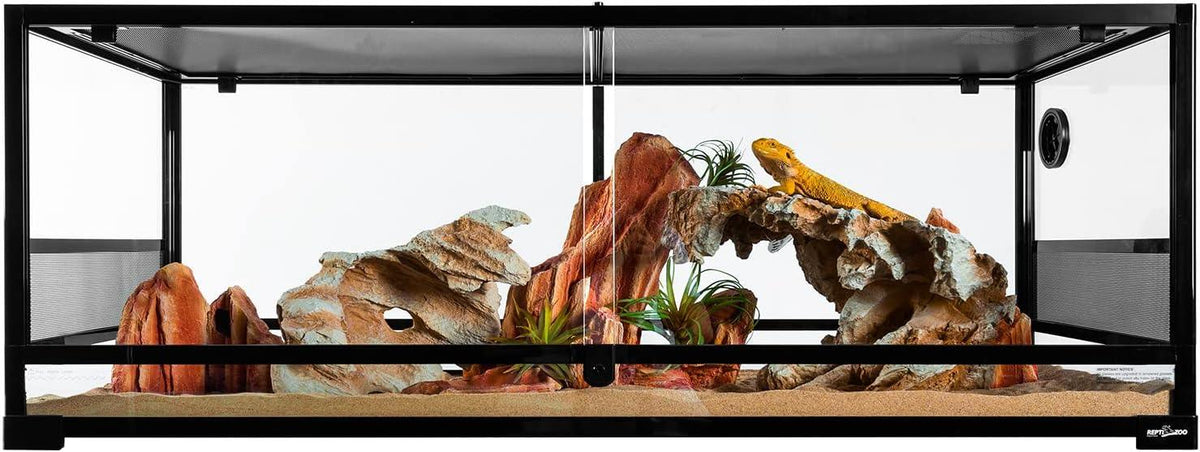 Glass reptile terrarium with desert decor, rocks, sand, plants, and a bearded dragon