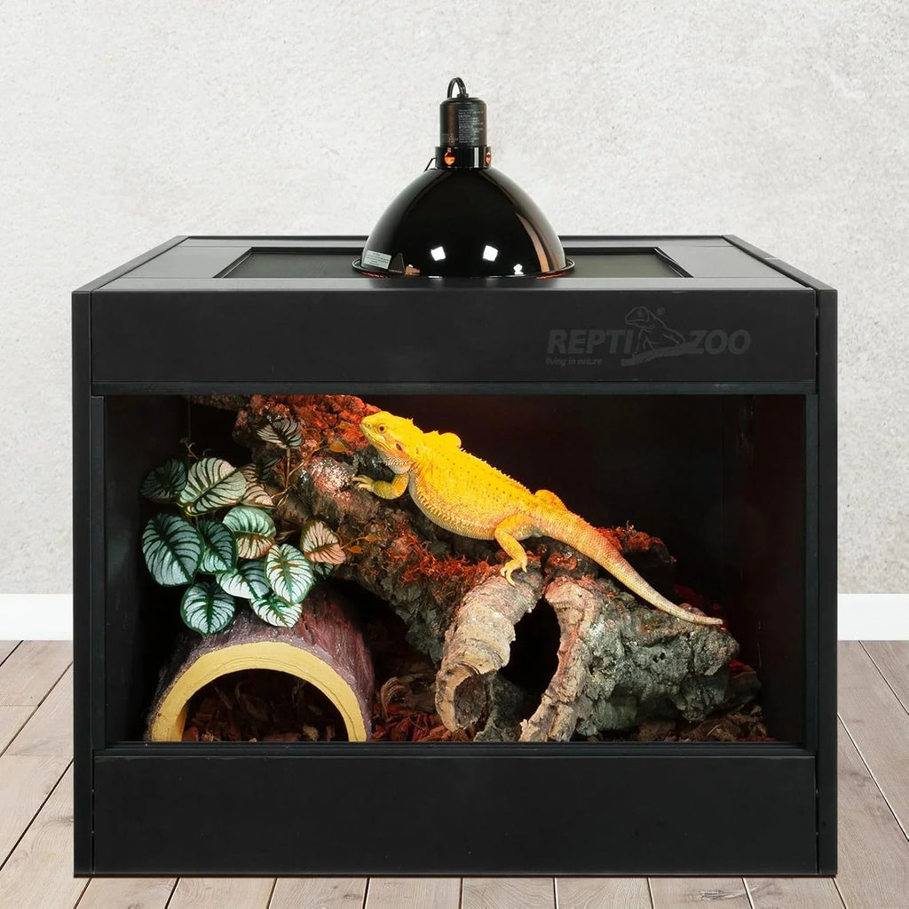 Bearded dragon under heat lamp in reptile terrarium with log, plants, and wood substrate