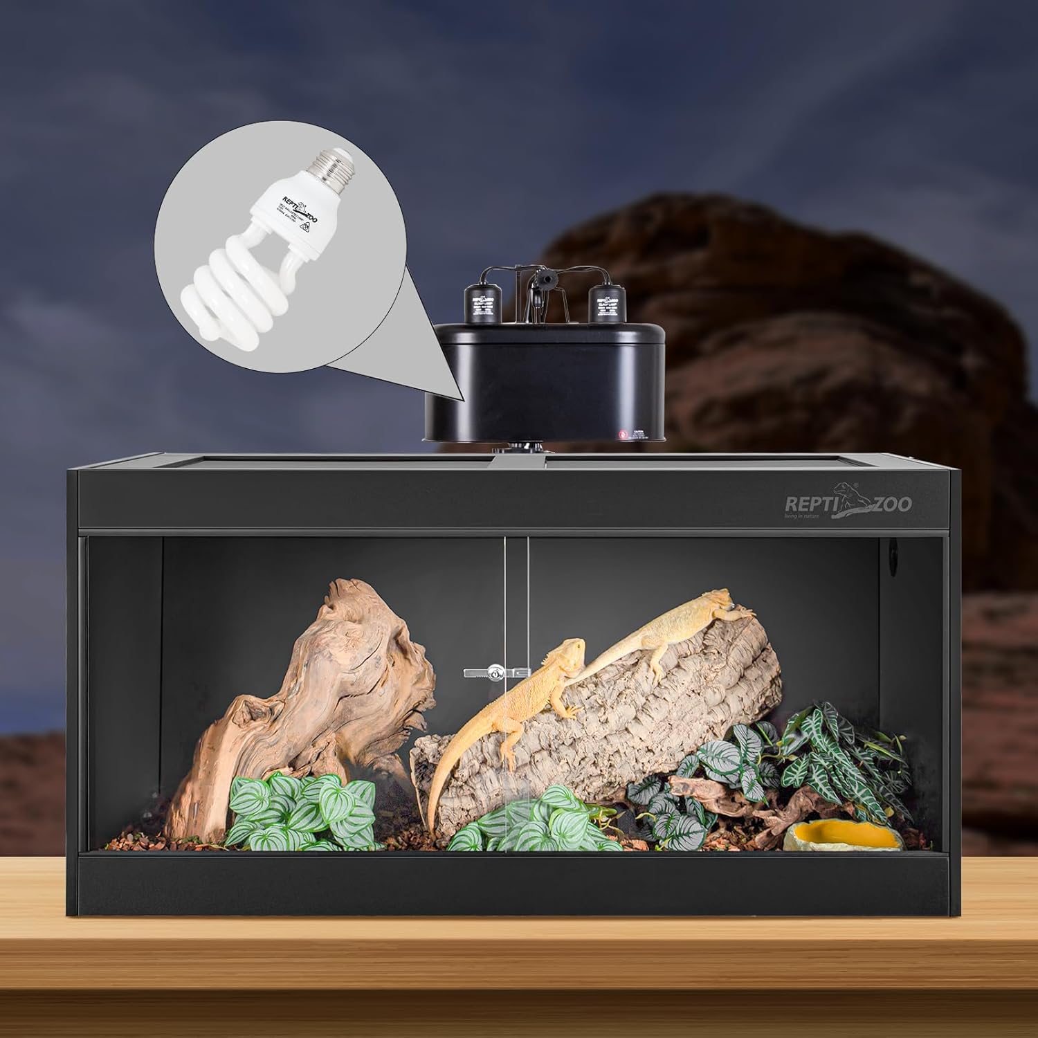 REPTI ZOO 2-Pack UVB Light for Desert Reptiles – 26W, 10.0 UVB with UVA, Spiral Compact Reptile Lamp for Bearded Dragons, Tortoises, Lizards & Snakes