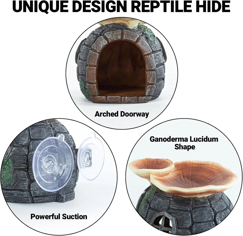 Decorative reptile hide with arched doorway, suction cups, and Ganoderma Lucidum mushroom top.