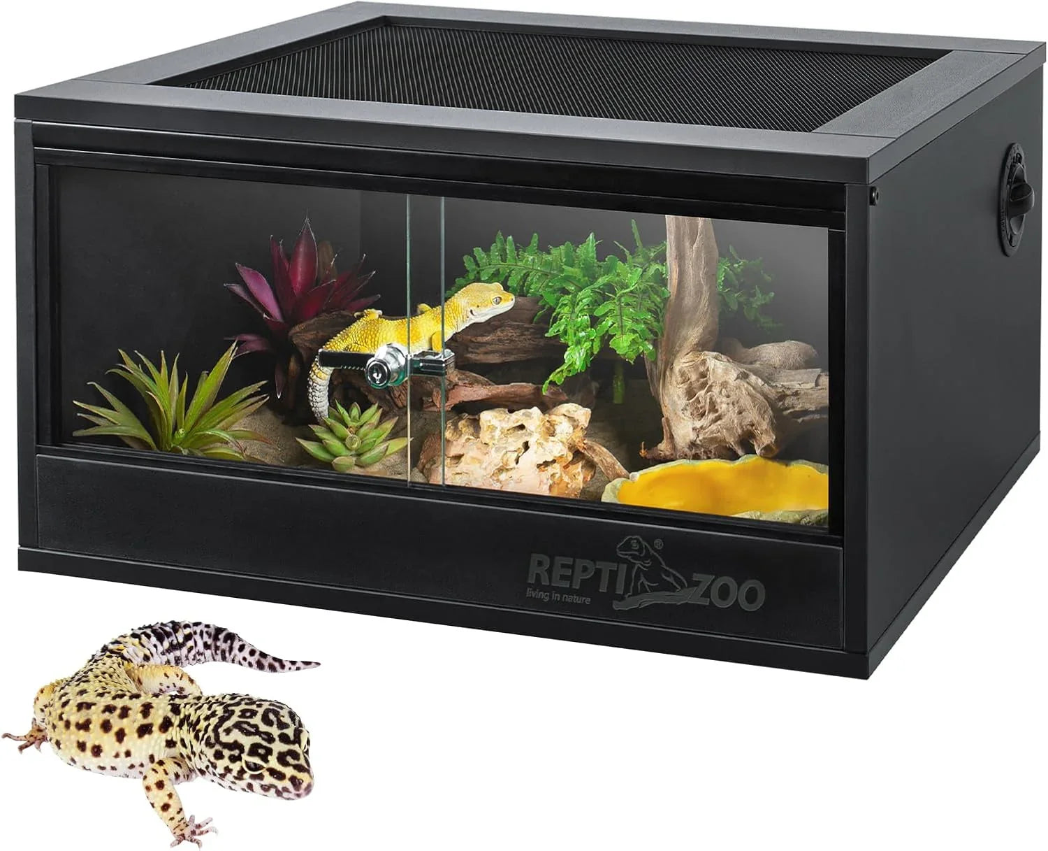Glass reptile terrarium with leopard gecko, plants, rocks, and mesh top for ventilation Main image