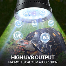 Load image into Gallery viewer, https://m.media-amazon.com/images/I/717tqlVIm0L._AC_SL1500_.jpg