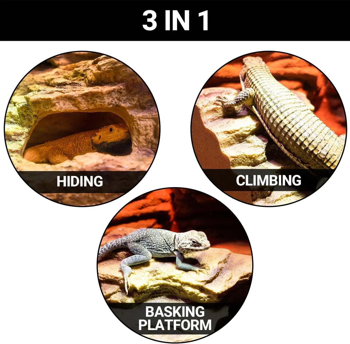 3-in-1 reptile habitat accessory for hiding, climbing, and basking in terrarium setup