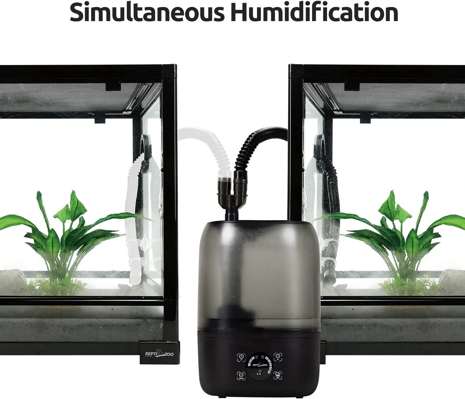 Double outlet reptile humidifier between two glass terrariums with green plants
