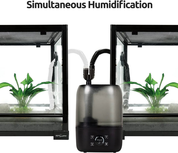 Double outlet reptile humidifier between two glass terrariums with green plants
