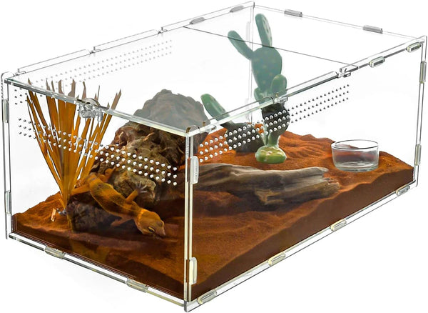 Acrylic reptile terrarium with desert setup, featuring a gecko, logs, artificial plants and water dish.