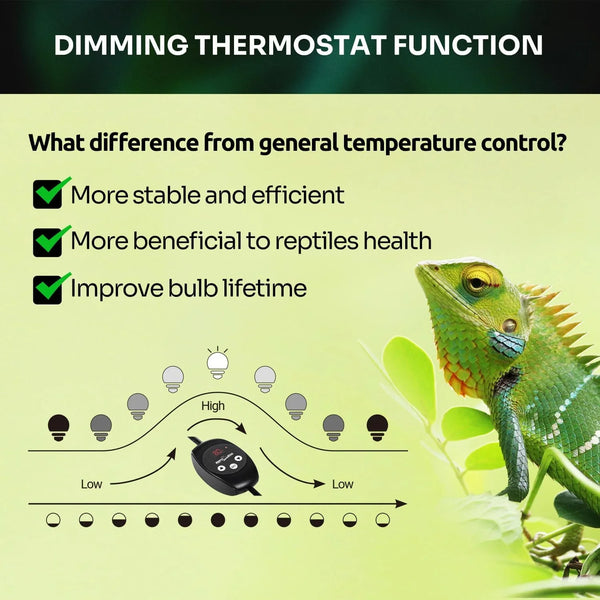 Dimming thermostat function benefits for reptiles with green lizard and temperature control diagram