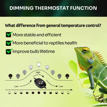 Load image into Gallery viewer, REPTI ZOO Dual Reptile Light Fixture with Dimming Thermostat and Timer