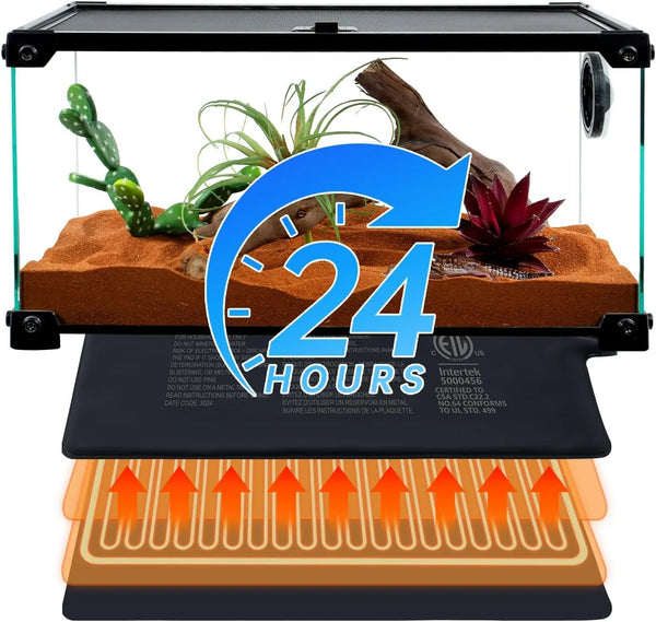Reptile terrarium with 24-hour heat mat, desert substrate, and artificial plants