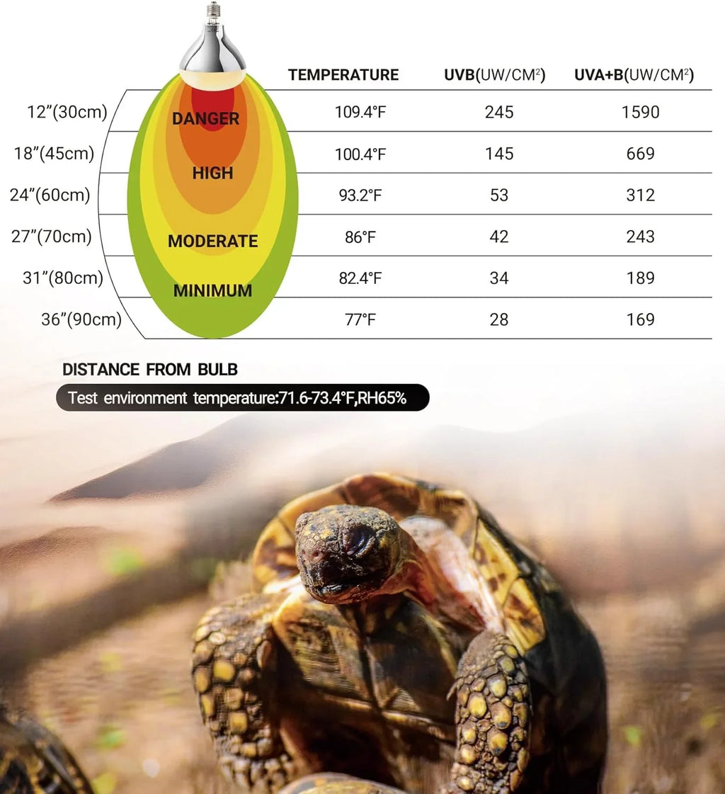 UVB and heat lamp distance and temperature chart for reptiles, with tortoise in foreground