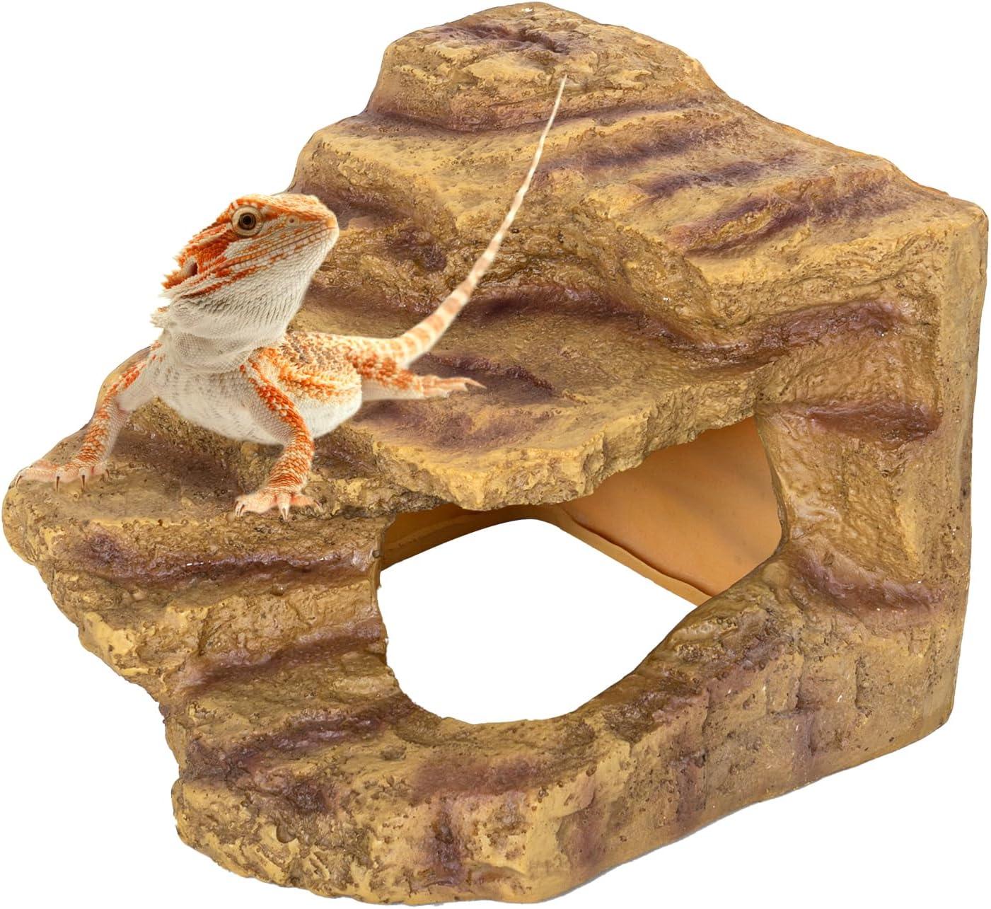 Bearded dragon lizard on realistic reptile terrarium cave hideout decor. Main image