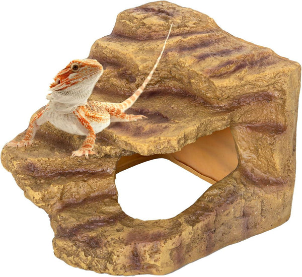 Bearded dragon lizard on realistic reptile terrarium cave hideout decor.
