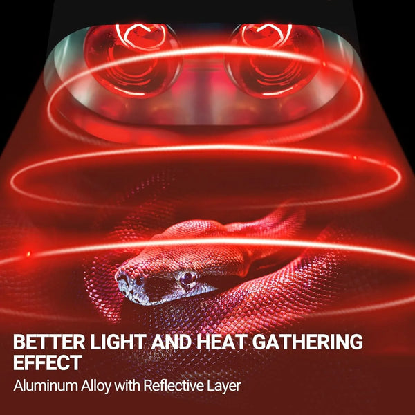 Red heat lamp with aluminum alloy reflective layer shining on a snake in a terrarium