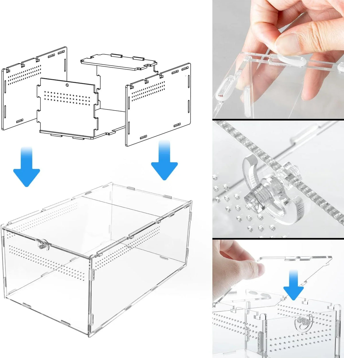 Acrylic reptile terrarium assembly steps showing clear panels, ventilation holes, and locking mechanism.