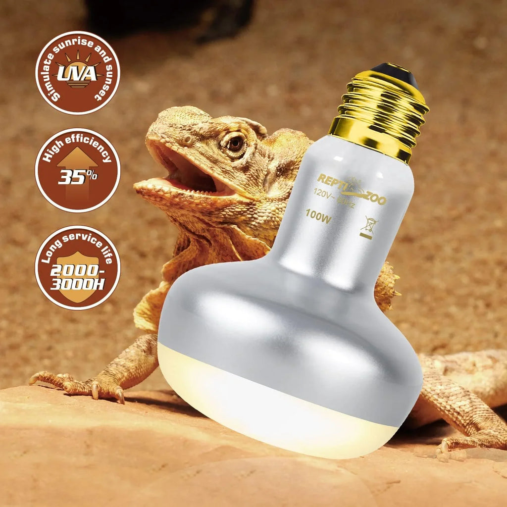 Reptile heat lamp bulb with bearded dragon, UV light features and desert terrarium setting