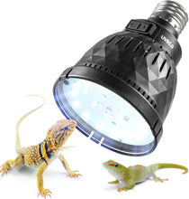 Load image into Gallery viewer, https://m.media-amazon.com/images/I/71U0j-Pg7wL._AC_SL1500_.jpg