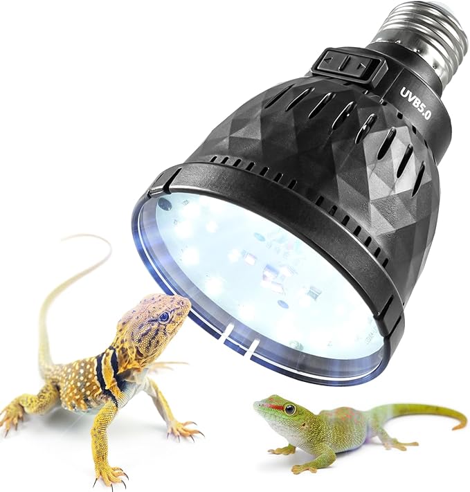 https://m.media-amazon.com/images/I/71U0j-Pg7wL._AC_SX679_.jpg
