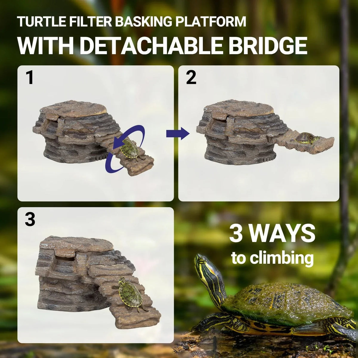 Turtle basking platform with detachable bridge, three climbing options, for reptile terrarium.