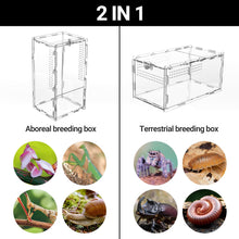 Load image into Gallery viewer, REPTI ZOO Small Acrylic Tarantula Enclosure Spider Enclosure 4&quot; X 4&quot; X 8&quot;