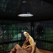 Load image into Gallery viewer, https://m.media-amazon.com/images/I/71YXZi9wibL._AC_SL1500_.jpg