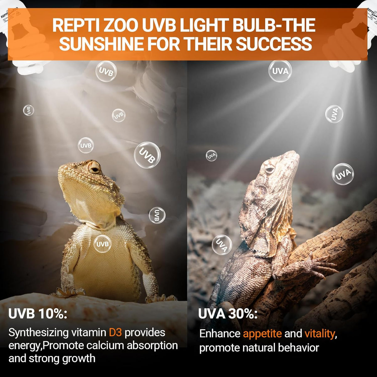REPTI ZOO 2-Pack UVB Light for Desert Reptiles – 26W, 10.0 UVB with UVA, Spiral Compact Reptile Lamp for Bearded Dragons, Tortoises, Lizards & Snakes