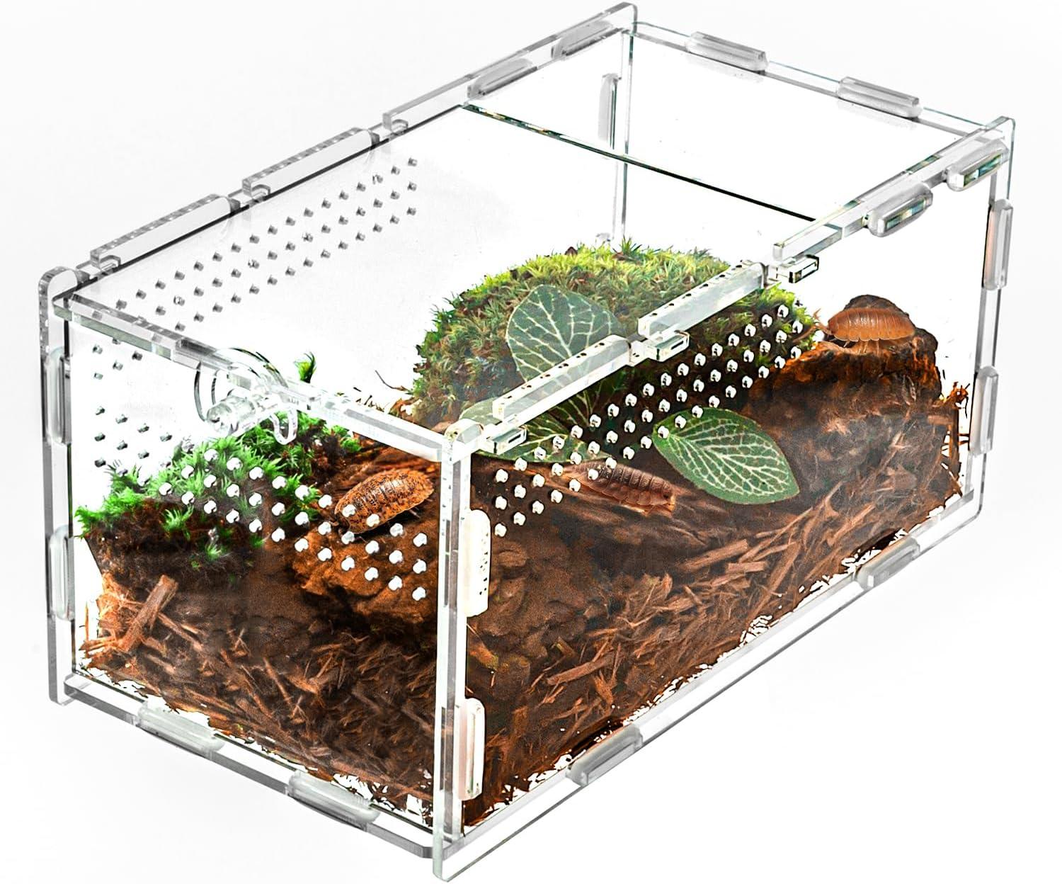 Acrylic reptile terrarium with ventilation holes, moss, wood, and plants for small pets.