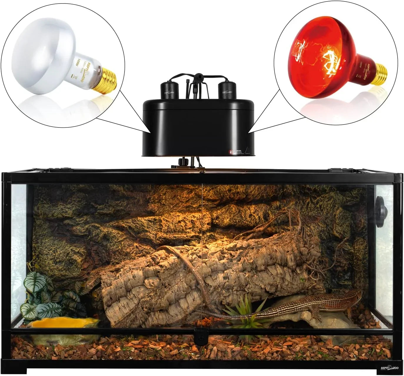 Reptile terrarium with UVB and heat lamps, dual light setup, and basking lizard inside