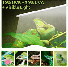 Load image into Gallery viewer, REPTI ZOO 2 Pack T5 5.0 UVB Reptile Light Bulb 24W