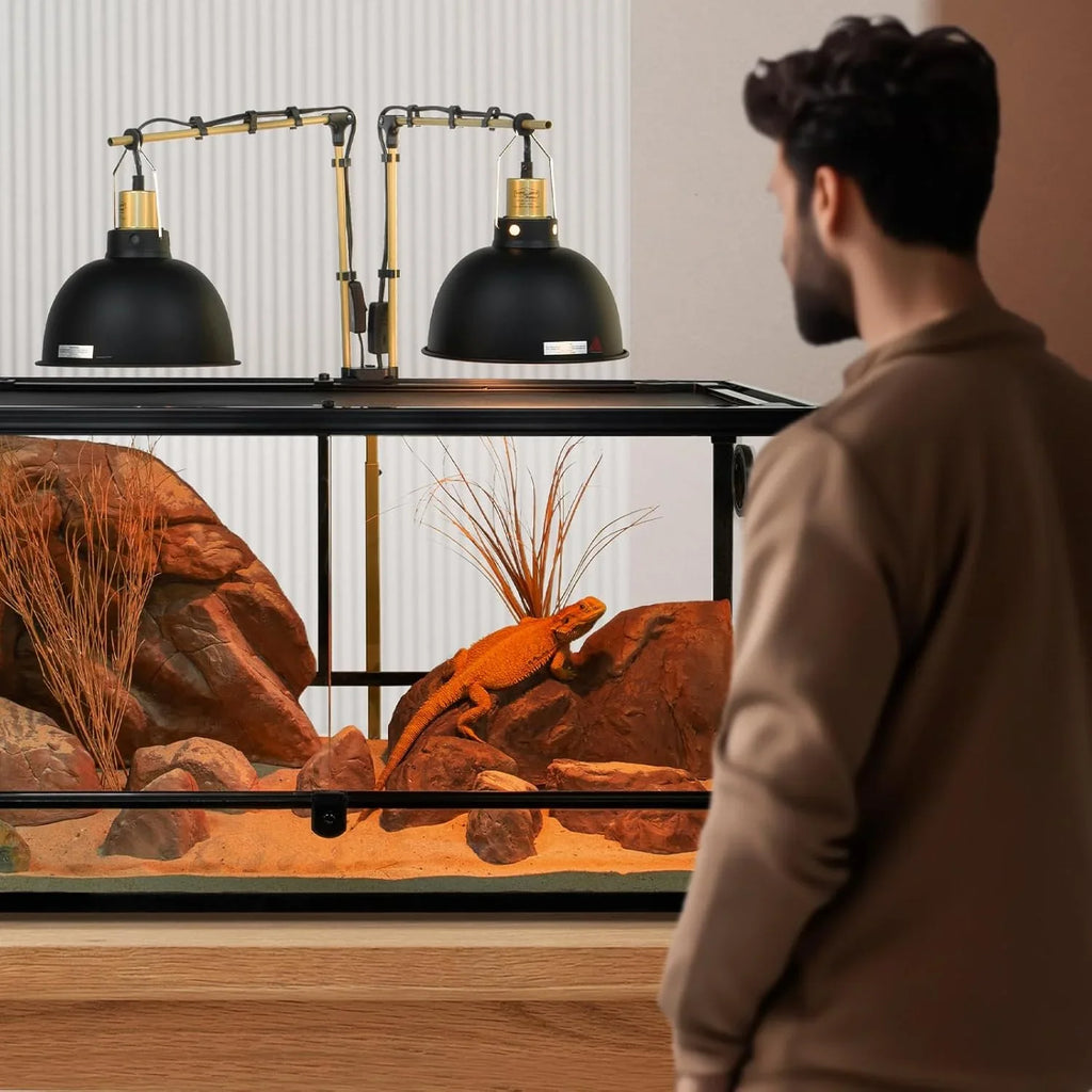 Bearded dragon in a glass reptile terrarium with UVB heat lamps and desert decor