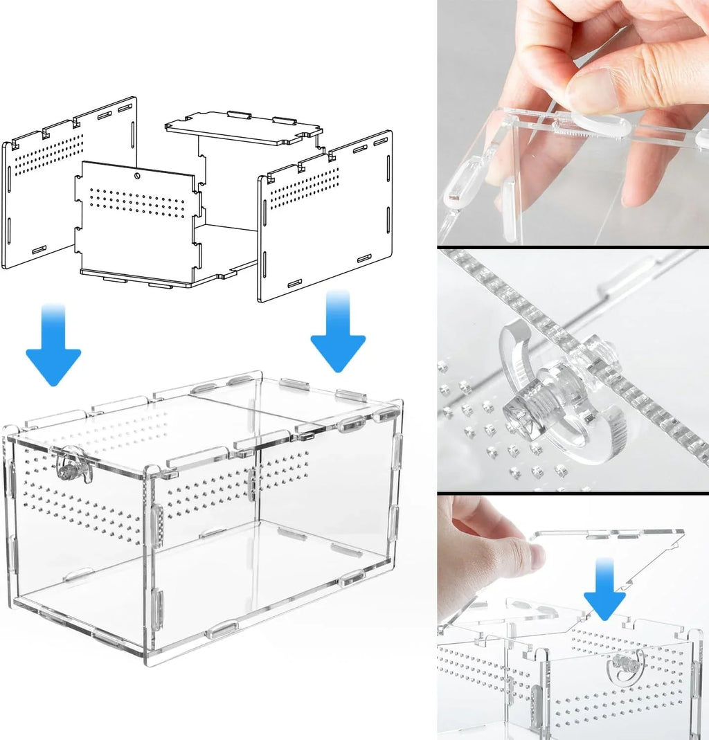 Acrylic reptile terrarium assembly steps, clear panels, ventilation holes, secure lock