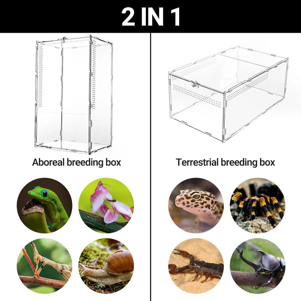 2 in 1 reptile breeding box, convertible for arboreal or terrestrial pets, with sample animals shown.