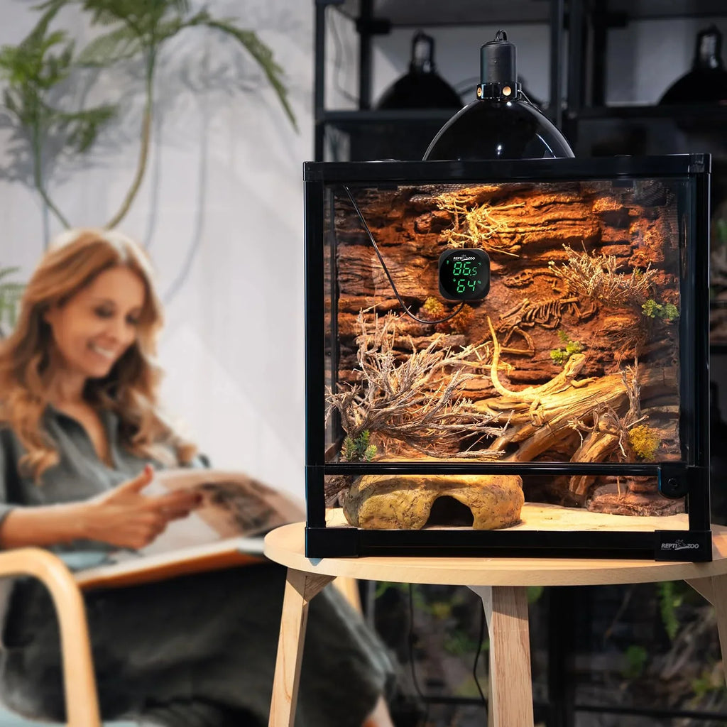 Glass reptile terrarium with digital thermometer, heat lamp, and naturalistic decor on table
