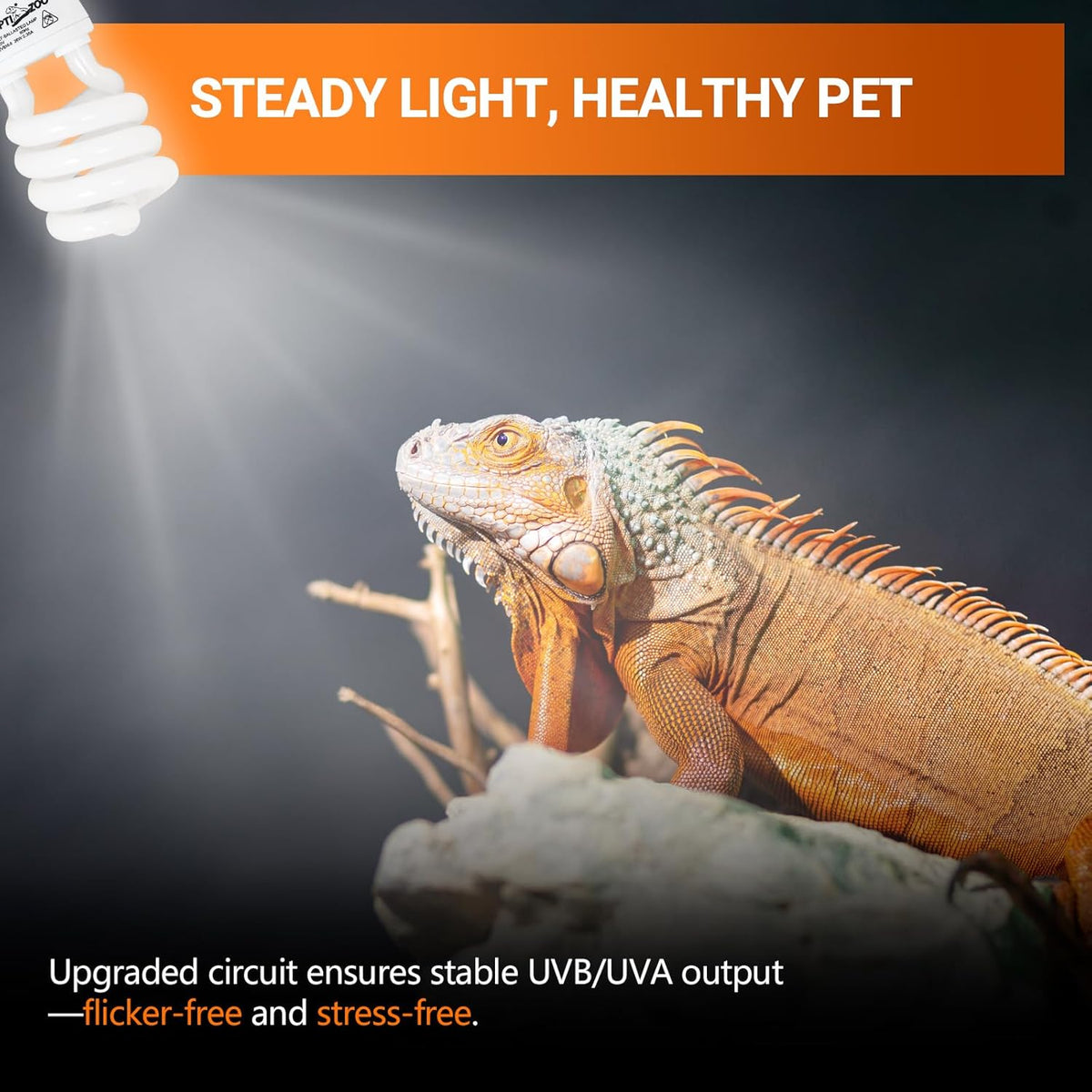 REPTI ZOO 2-Pack UVB Light for Desert Reptiles – 26W, 10.0 UVB with UVA, Spiral Compact Reptile Lamp for Bearded Dragons, Tortoises, Lizards & Snakes