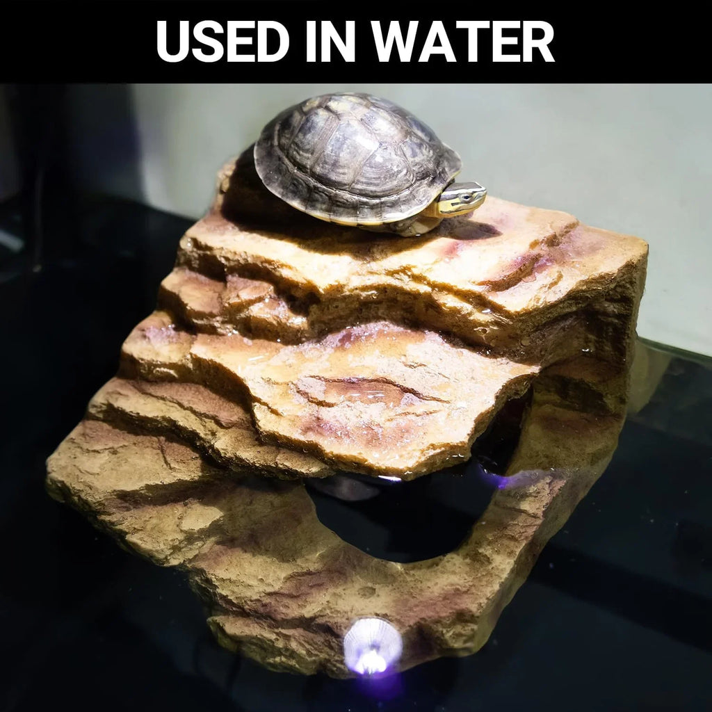 Aquatic turtle on artificial basking platform in terrarium water habitat