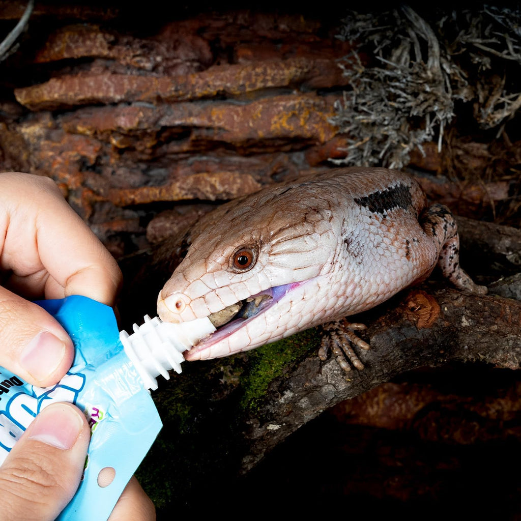 Premium Crested Gecko Food Insect Puree Dubia Paste Made with Fresh Insects 2.82oz