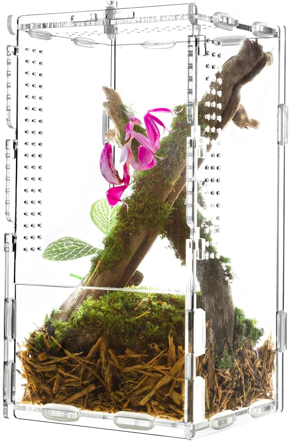 Clear acrylic reptile terrarium with ventilation, moss, driftwood, and pink flowers inside