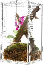 Load image into Gallery viewer, REPTI ZOO Small Acrylic Tarantula Enclosure Spider Enclosure 4&quot; X 4&quot; X 8&quot;