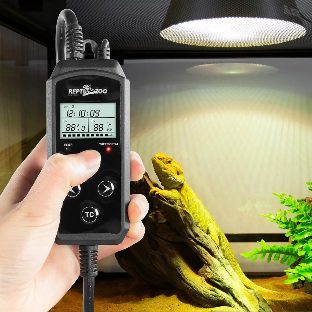 Digital reptile thermostat controller in hand, monitoring temperature in a lizard terrarium with heat lamp.