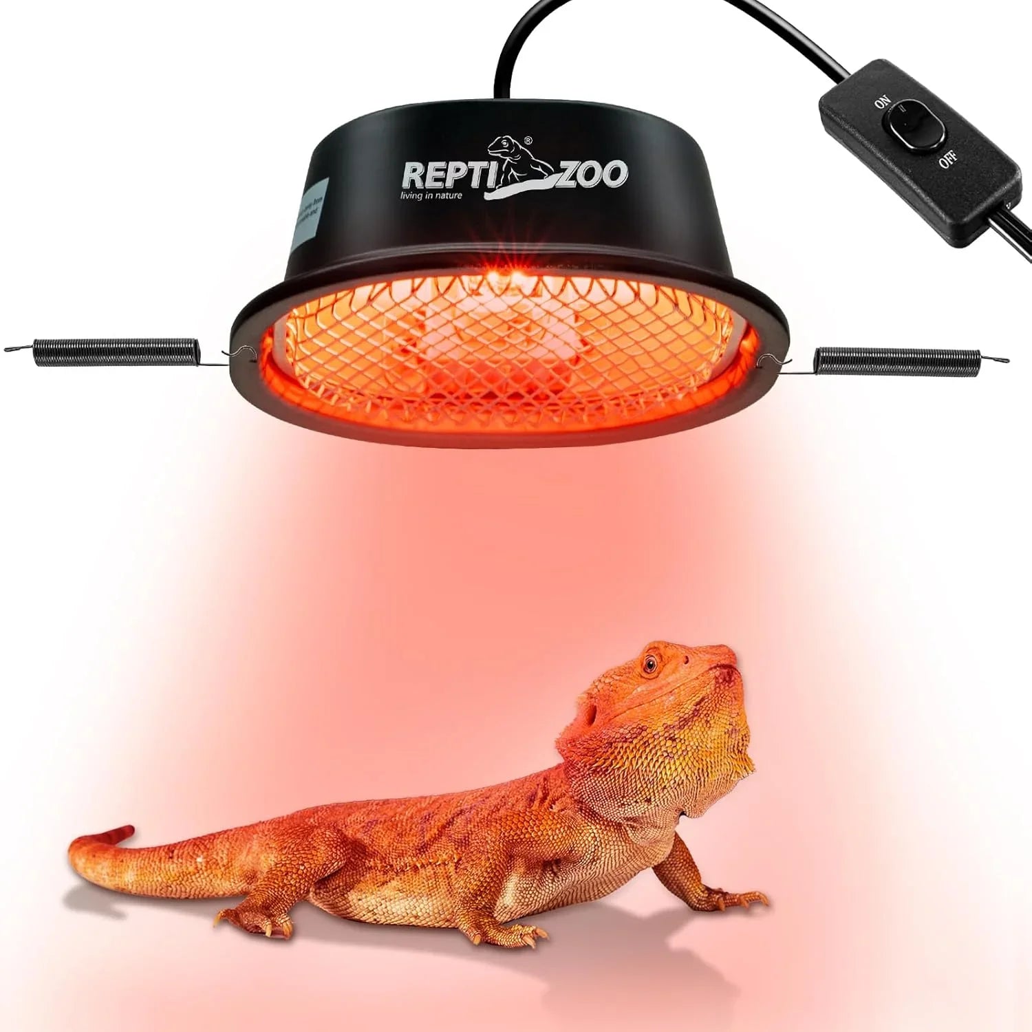 https://m.media-amazon.com/images/I/71pg0dKcQzL._AC_SL1500_.jpg
