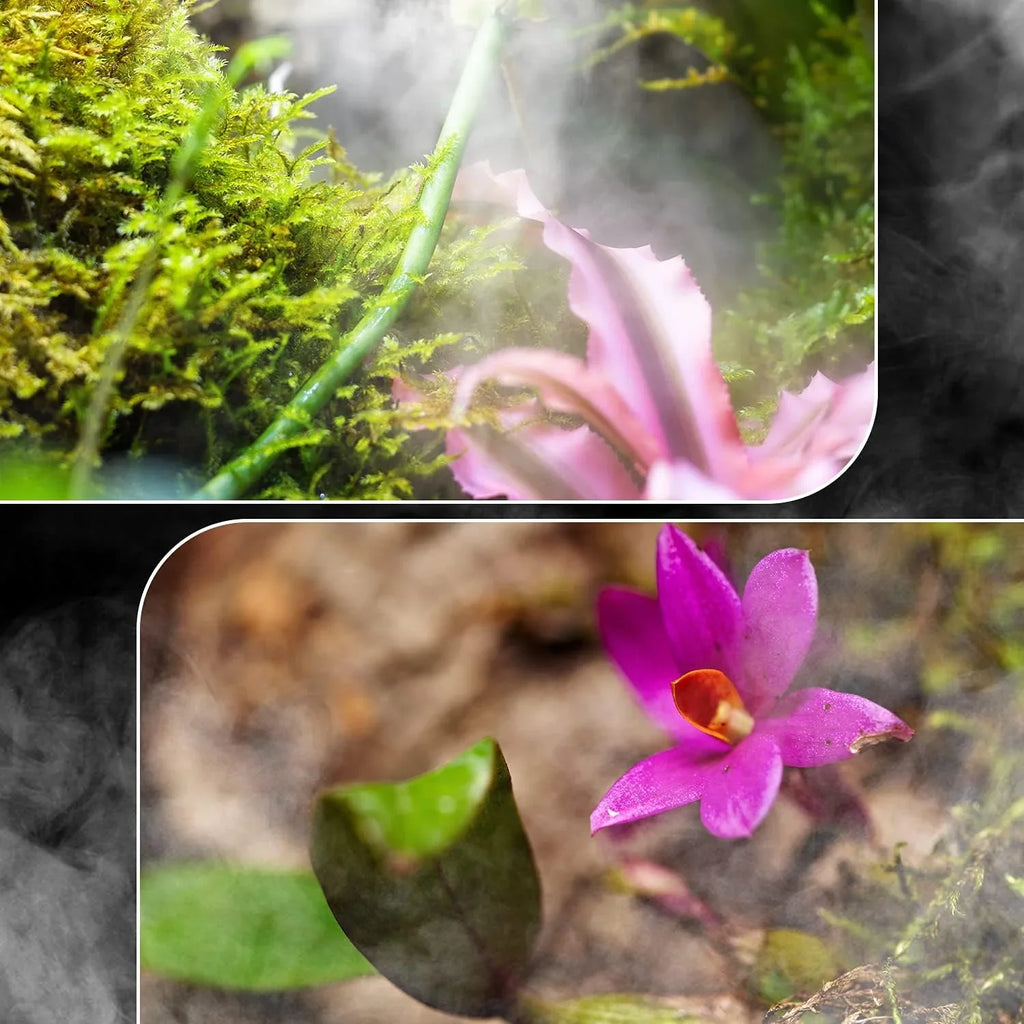 Close-up of terrarium with green moss, mist, and vibrant pink flowers, ideal for reptiles.