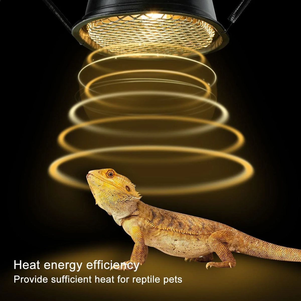 Bearded dragon under UVB heat lamp for reptiles, demonstrating efficient heat lighting.