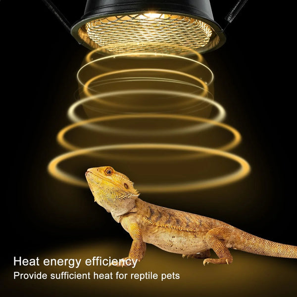 Bearded dragon under UVB heat lamp for reptiles, demonstrating efficient heat lighting.
