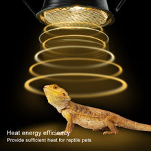 Load image into Gallery viewer, REPTI ZOO G9 Reptile Light Fixture with  Heat Lamp Bulb 50W Warm White