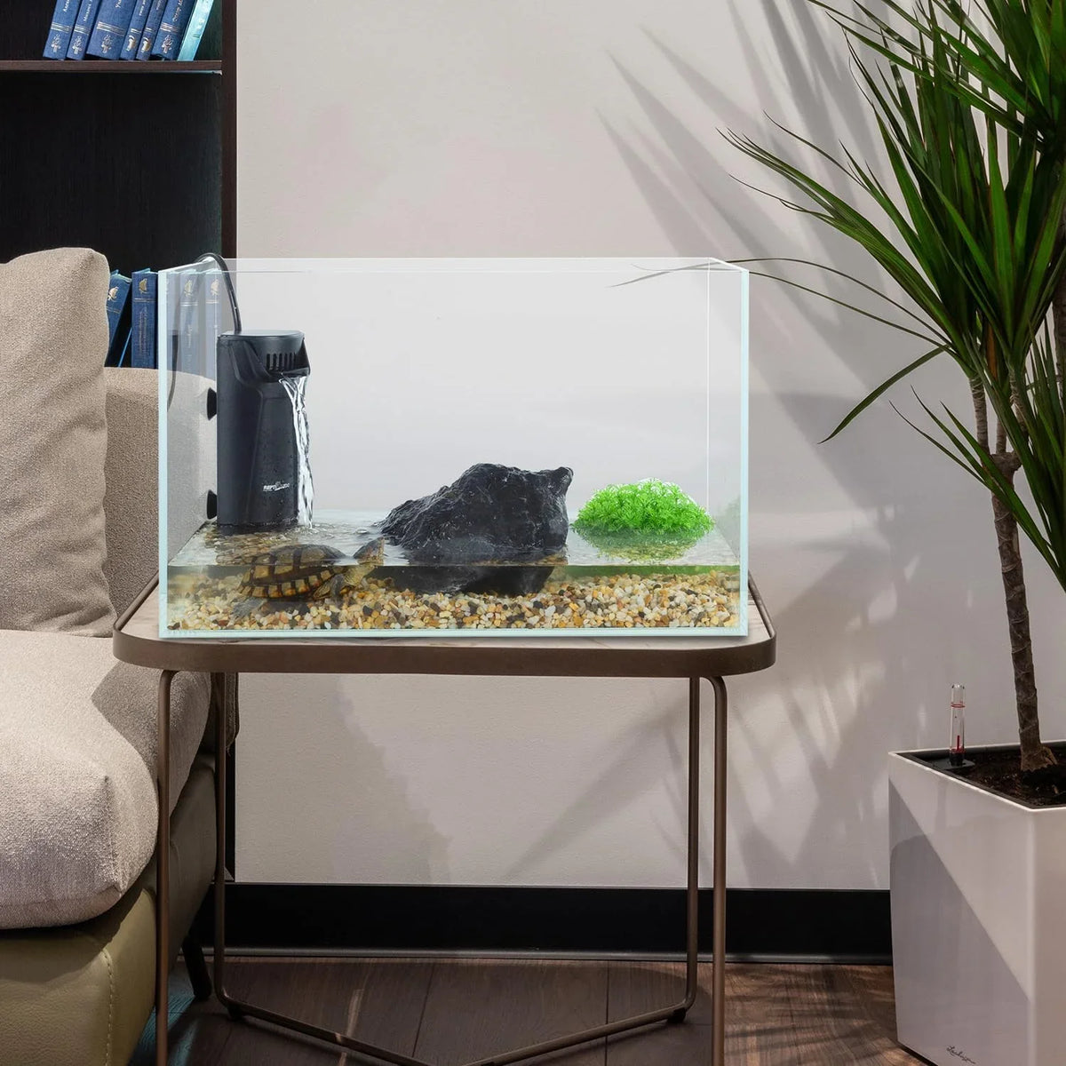 Glass reptile terrarium with water filter, turtle, rocks, and plants on a table indoors