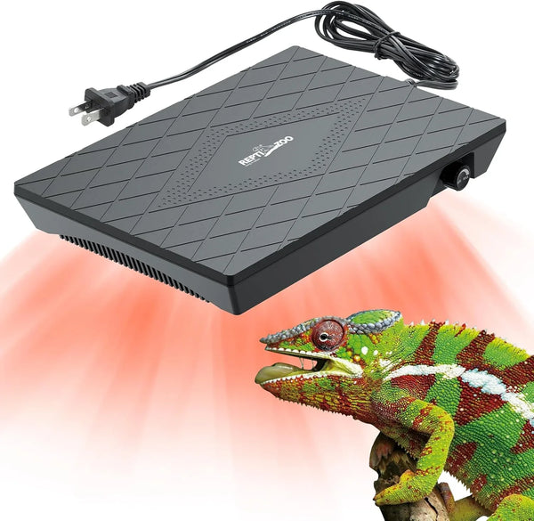 Reptile tank heat lamp with power cord emitting red light over a colorful chameleon
