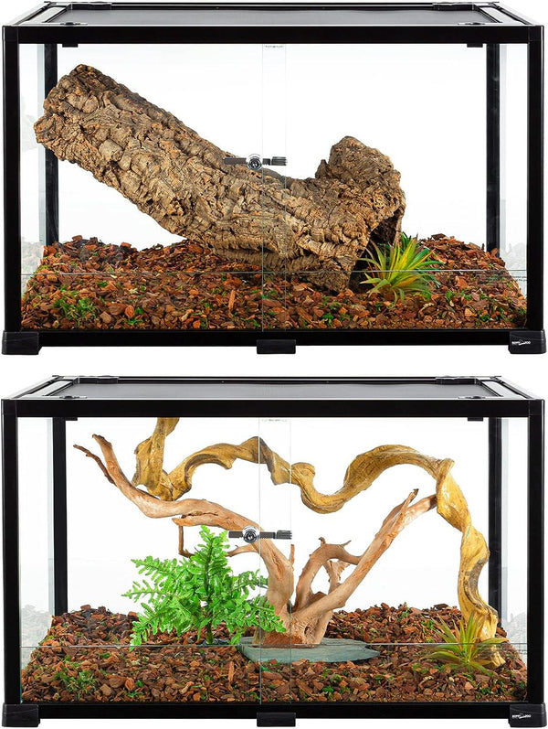 Glass reptile terrariums with natural wood branches, plants, and bark substrate