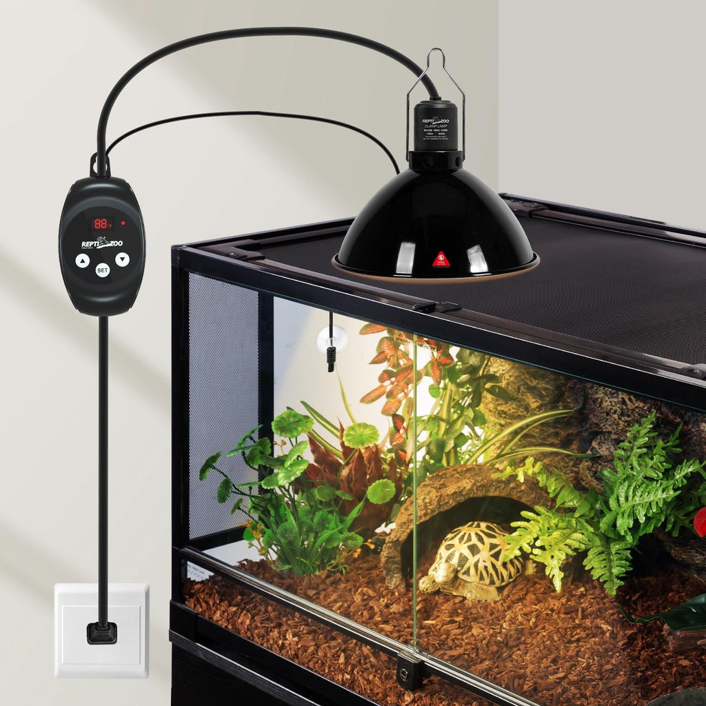 Digital reptile thermostat and heat lamp setup on glass terrarium with tortoise