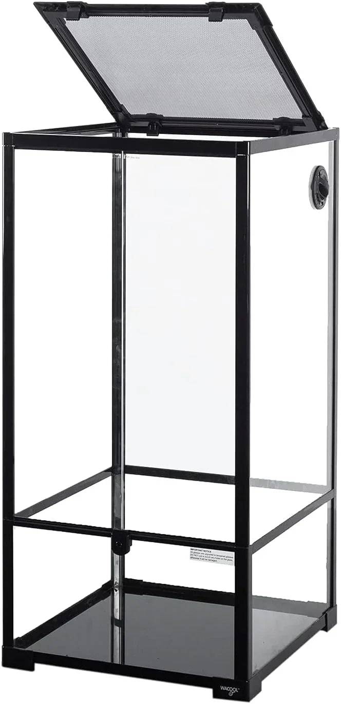 Tall glass reptile terrarium with black frame and mesh top, ideal for reptiles and amphibians.