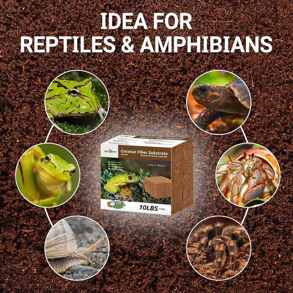 Coconut fiber substrate 10lbs block for reptiles, amphibians, hermit crabs, snails, and tarantulas